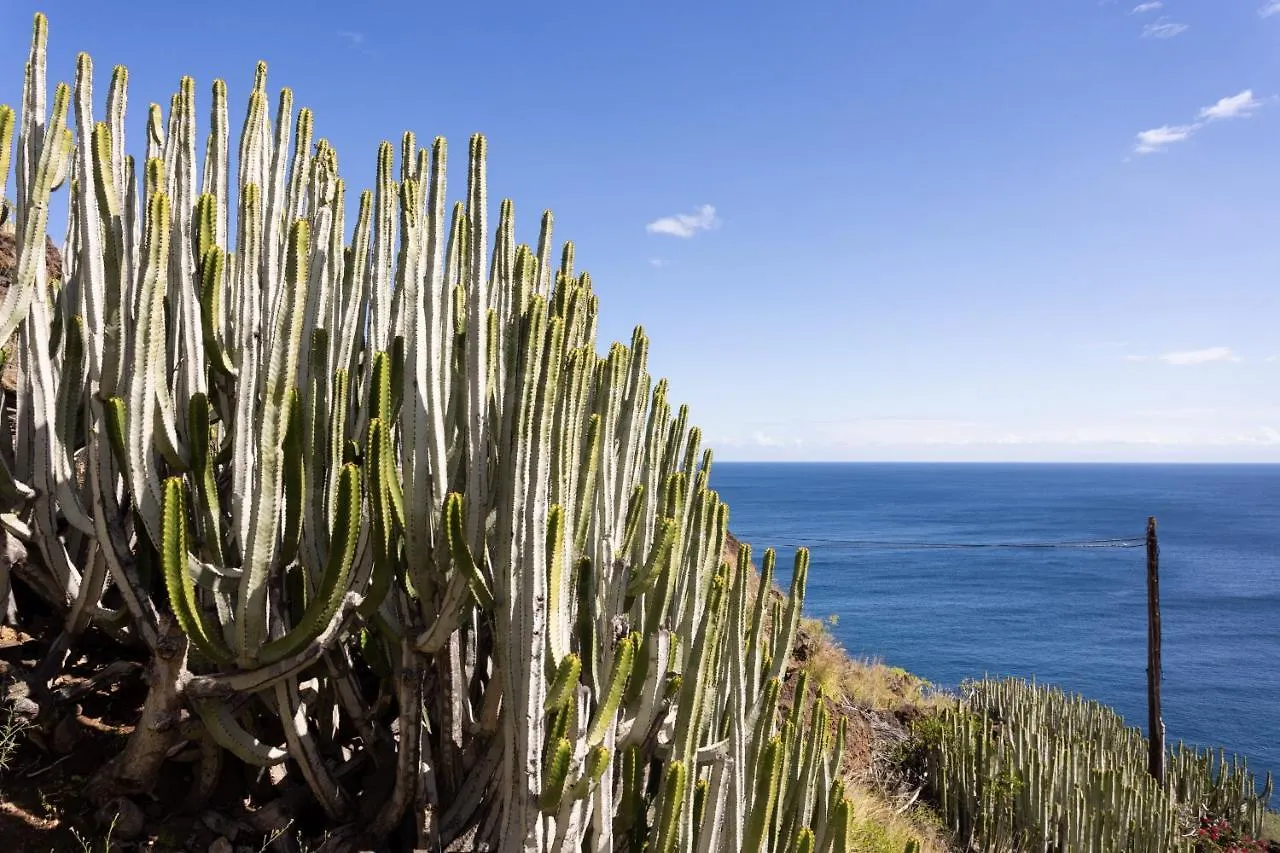 Fantasticas Vistas Al Mar, Playa Y Piscina Apartment Radazul 0*,  Spain